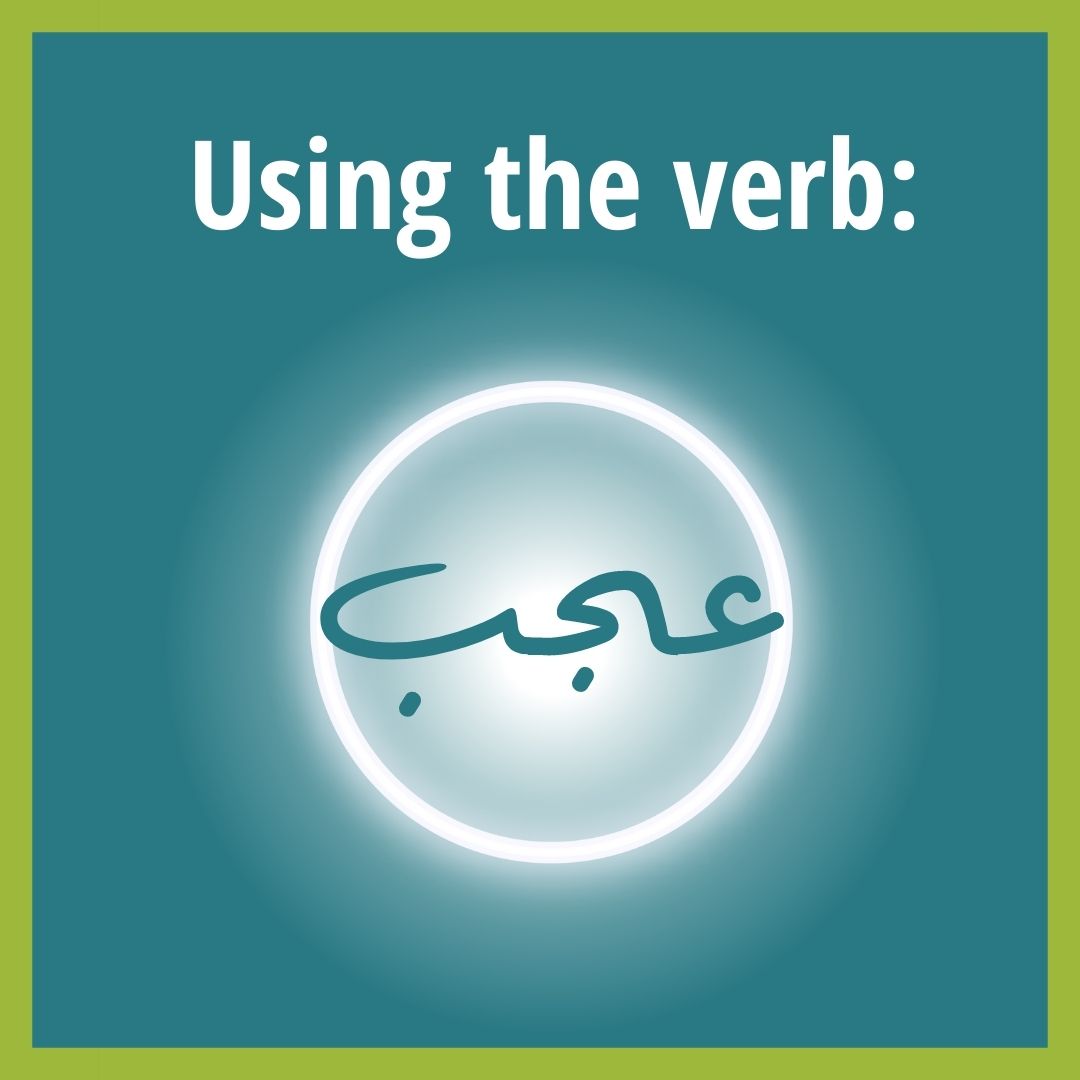 learn how to use the verb "like" عجب in spoken Levantine Arabic dialect