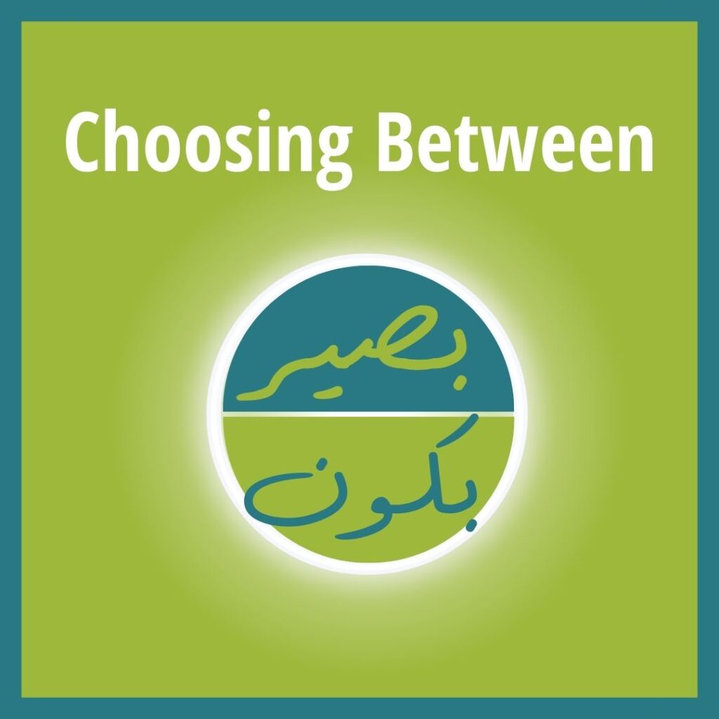 What are the differences between bikun and biseer in Levantine Arabic?