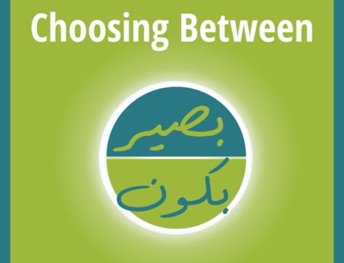 Sorting Out Differences Between Bikun and Biseer